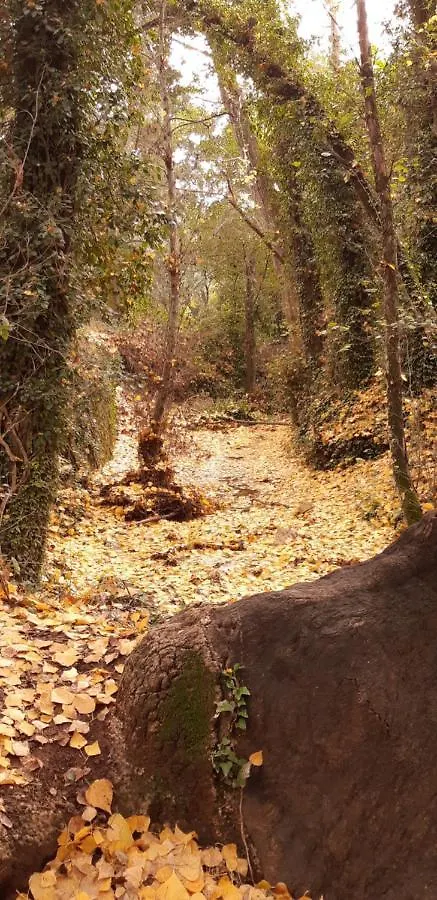 Alojamiento La Fuente Fuenteheridos Spain